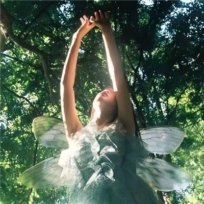 双龙会之凤鸣龙吟