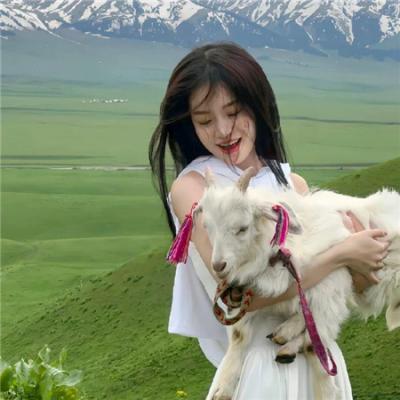 神医农女，买个相公来种田